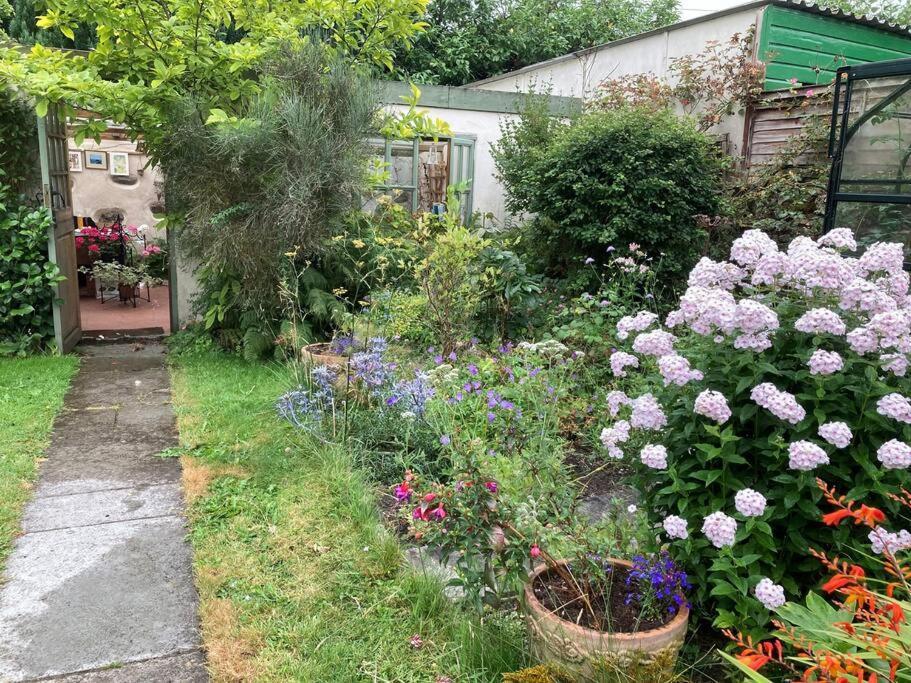 Villa Little Reeds Bovey Tracey Exterior foto